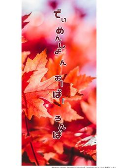 でぃめんしょん-おーばー-ろんぱ【創作？論破参加型】　募集〆