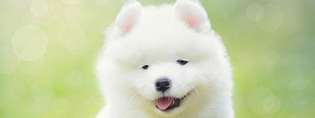 なまじゃけ！さんの壁紙画像