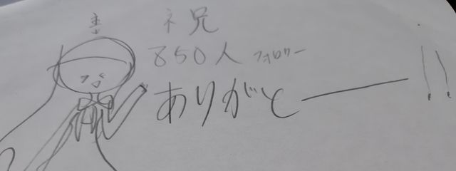 シェラ　フォロバ100%　不定期投稿さんの壁紙画像