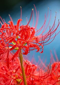 やっと出逢えた親友から世界一嫌いな奴の声が出てきて辛い