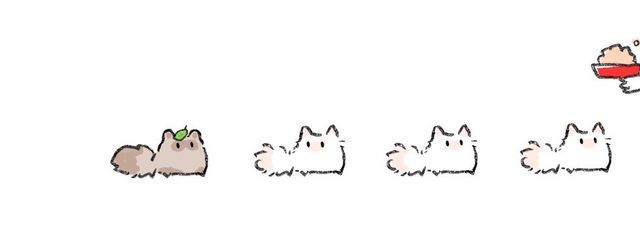 shellさんの壁紙画像