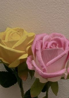 優等生くんの番犬さん ,