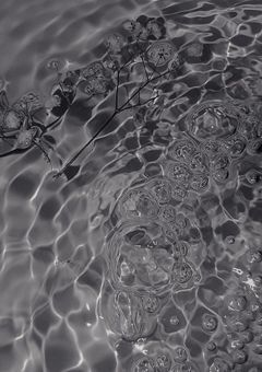 溶けるまで愛して。