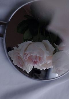 必死になるキミは世界一可愛い