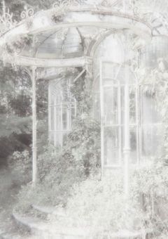 .꒰ঌ𝖙𝖆𝖌.໒꒱.