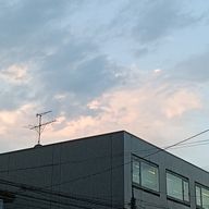 ここさんのアイコン画像