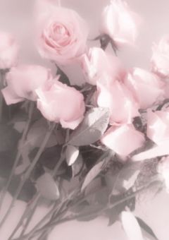 ⠀ ⠀温 も り の 我 が 家 .