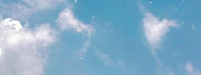 　しおん  。　　𓂃 𓈒𓏸 𑁍‬さんの壁紙画像