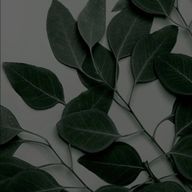 金平糖さんのアイコン画像