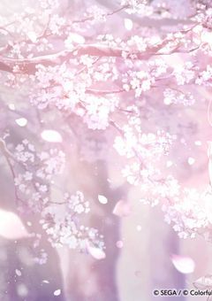 STPRの可愛いが好きな子、秘密があるようで