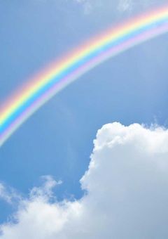 🌈⚔️