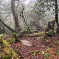 ユン　ベクトル破壊戦士さんのアイコン画像