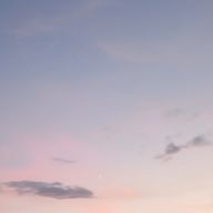 あめさんのアイコン画像