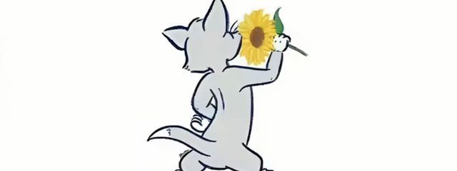 Ｙさんの壁紙画像