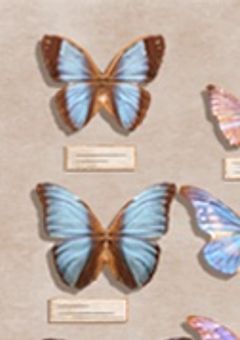 キャバ嬢やってるのバレたら周りがヤンデレになった件