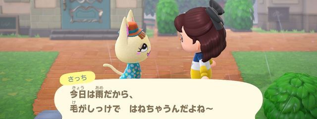 さえさんの壁紙画像