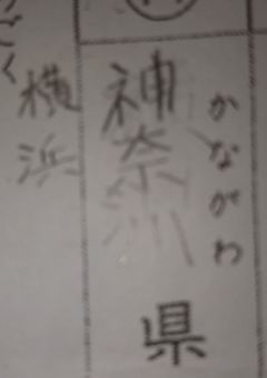 え、真坂のそっち？