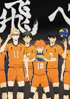 ハイキュー「夢主は愛されている」