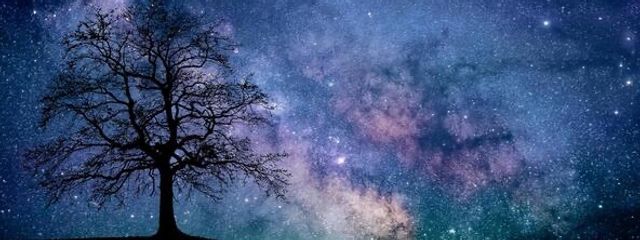 星詠むにさんの壁紙画像