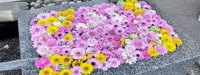 〜*夢漠*〜さんの壁紙画像