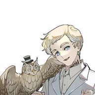 するめさんのアイコン画像