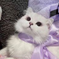 maaさんのアイコン画像