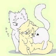 桃湊九丿さんのアイコン画像