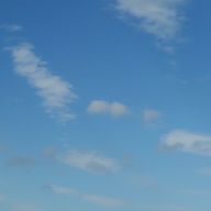 ピラフォー❤️さんのアイコン画像