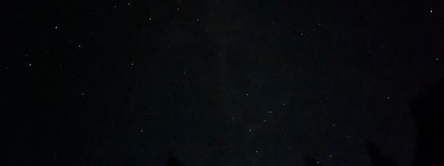 きむちまる。さんの壁紙画像