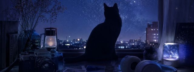 ◌*⃝藍*◍#えおるとペア画中!さんの壁紙画像