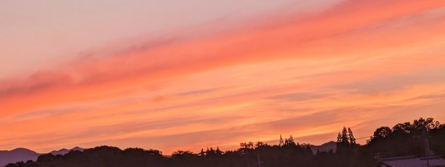 放浪者さんの壁紙画像