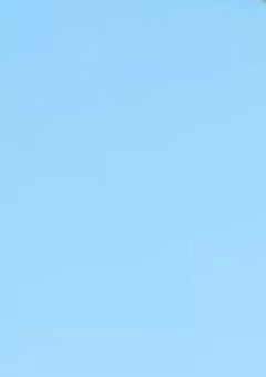 【Ptuber事務所】Story