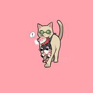 毛皮さんのアイコン画像