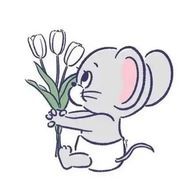 あやのさんのアイコン画像