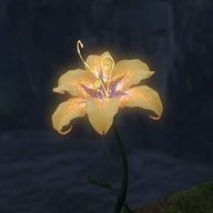 推し多めjkさんのアイコン画像