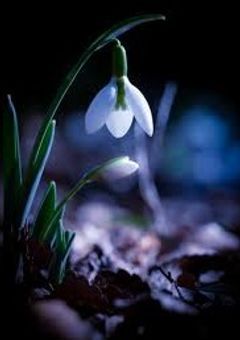 なんか平安時代の大陰陽師に憑かれてる件