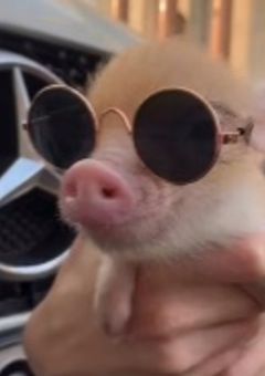 ミセスの彼女目線カメラ