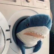 めろんそーだ。さんのアイコン画像