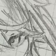 時雨·̩͙☾ₛ˟さんのアイコン画像