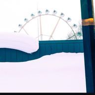 しみずさんのアイコン画像