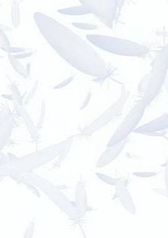 bxxl　BL短編集