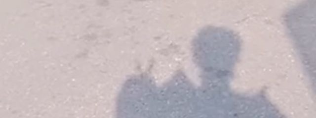 Livさんの壁紙画像