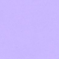 れい @FW85人突破感謝さんのアイコン画像