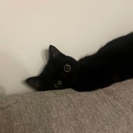 ♡さんのアイコン画像