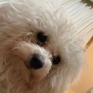 雲丹優雅さんのアイコン画像