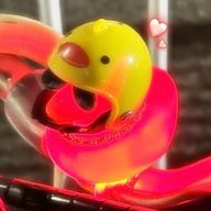 りほさんのアイコン画像