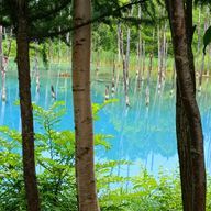 天宮 小雨さんのアイコン画像