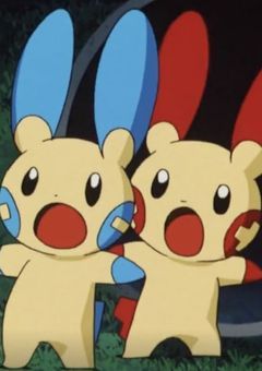 ‪‪　　　‪‪♥