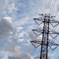 わんたんたんさんのアイコン画像