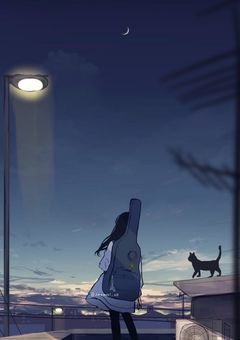 #彗星と宵の月FC